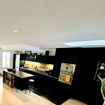 Rare Parisian Architect House Otel